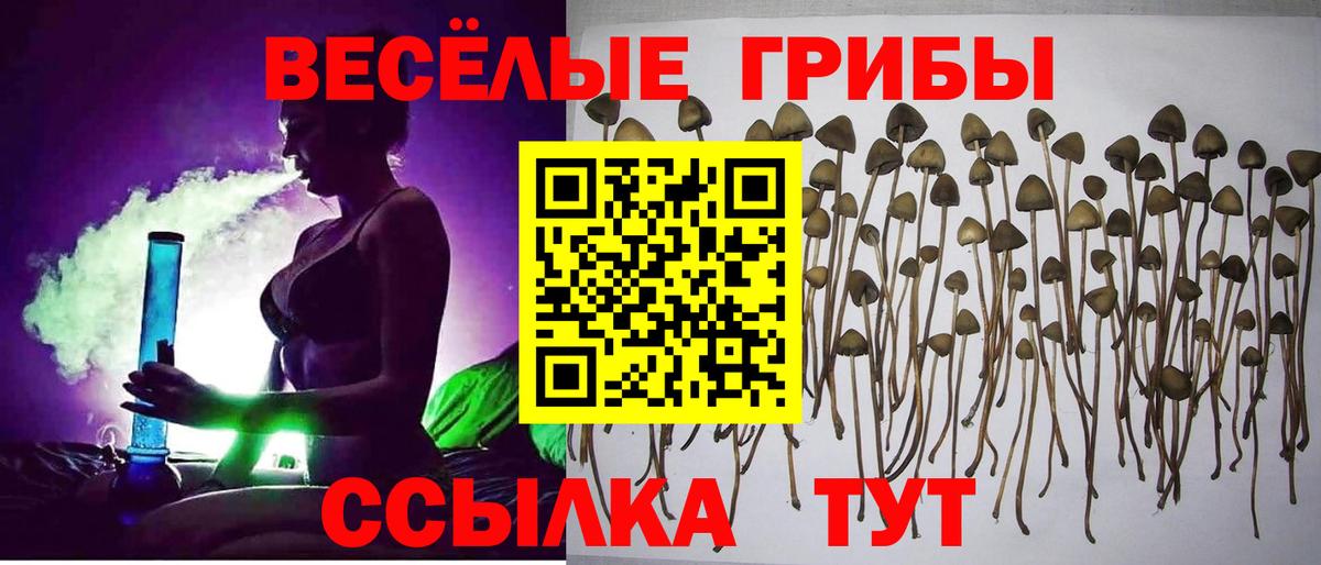 Отрадное  Галлюциногенные грибы MAGIC MUSHROOMS  Галлюциногенные грибы MAGIC MUSHROOMS  Вход с VPN 