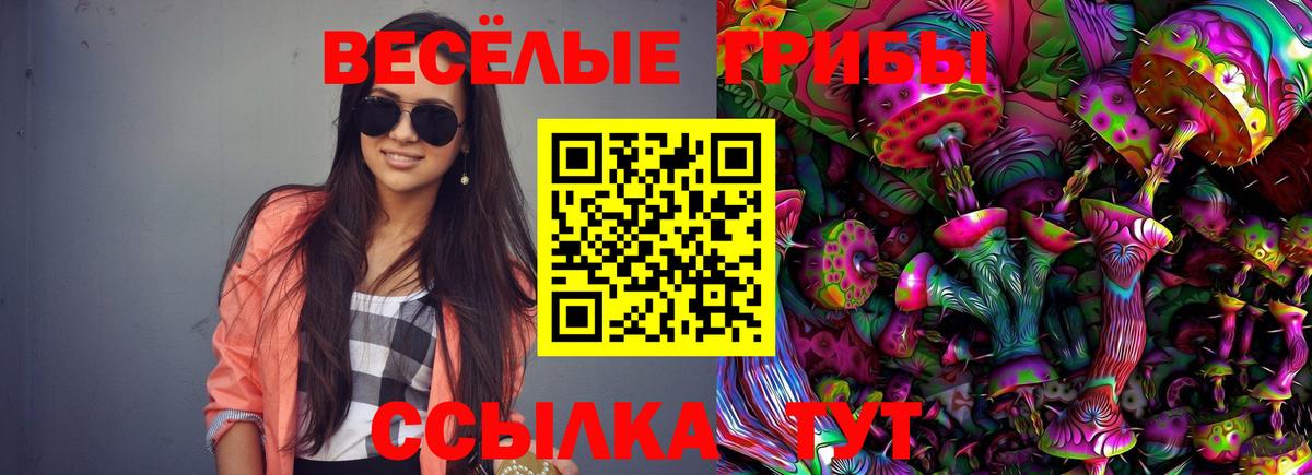 Псилоцибиновые грибы Psilocybine cubensis Отрадное
